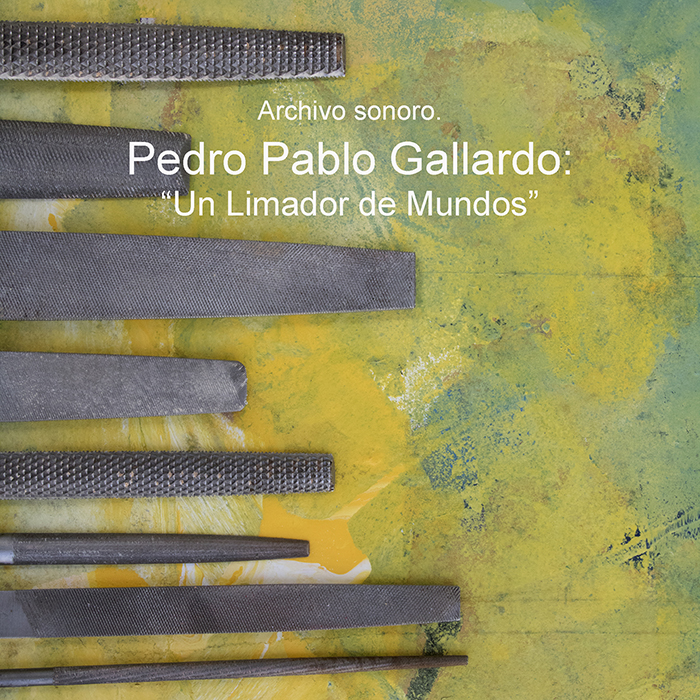 imagen 35. pedro pablo gallardo